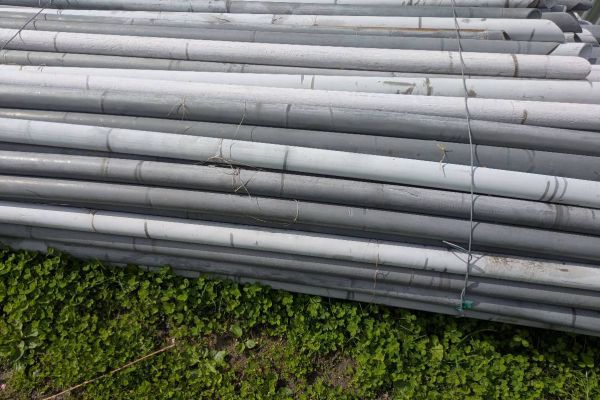 Plastikstangen für Apfelbäume