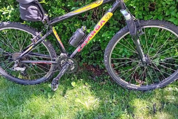 Damenmontainbike
