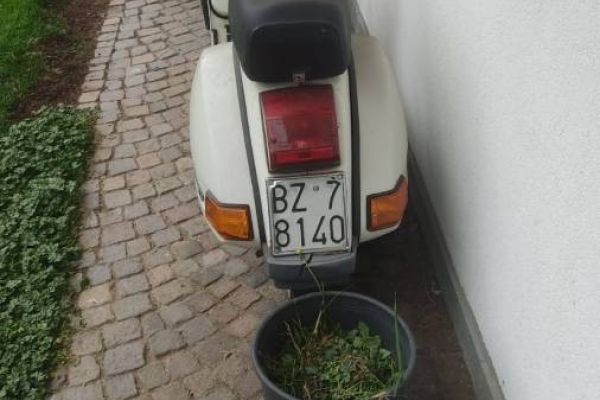 Anschauen lohnt sich veps