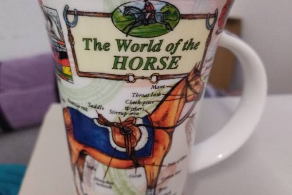 Tasse, Pferde