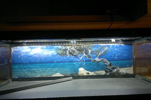 Terrarium/ Aquarium "Terratlantis"