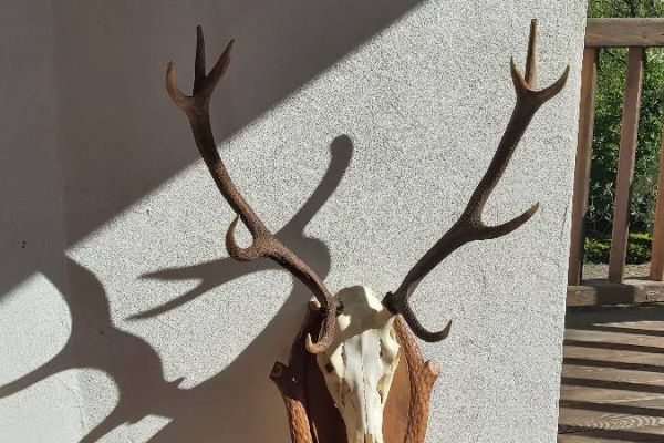 für Jagdliebhaber oder zur rustikalen Dekoration