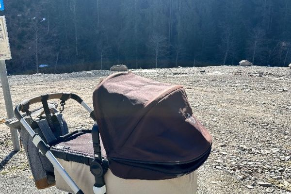 Hallo verkaufe in bugaboo buffalo in guten Zustand!