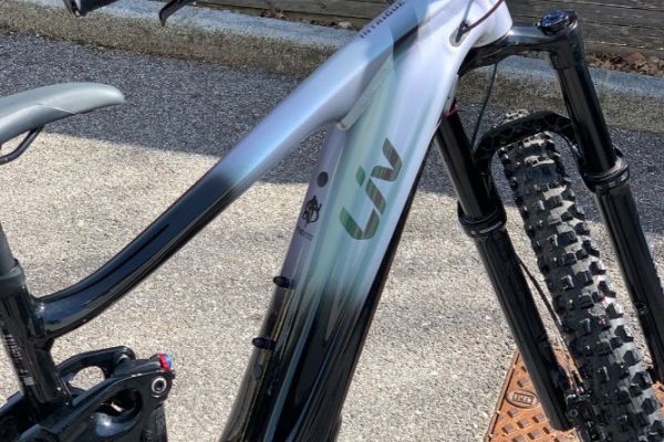 Ebike, Giant, Größe S/ (29“)