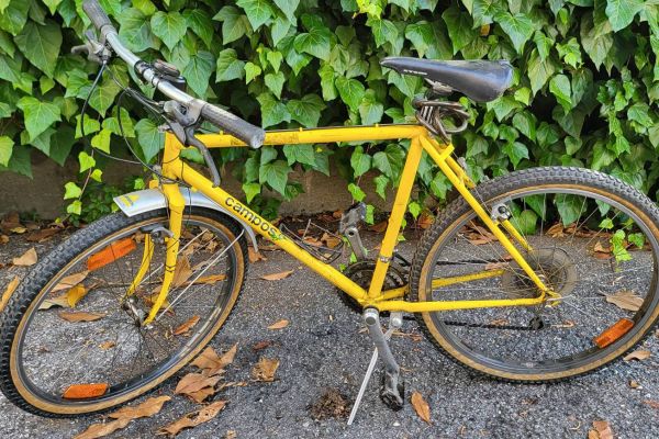 MTB 26zoll