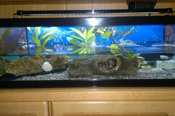 AQUARIUM  der Marke "AQUATLANTIS"