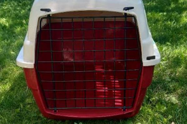 Kleintiertransportbox