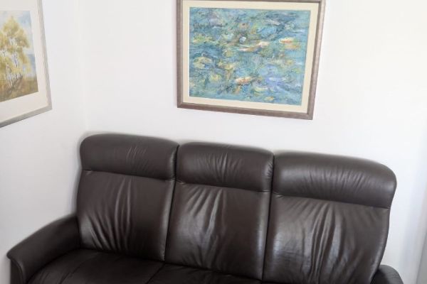 Ledercouch und Doppelsessel