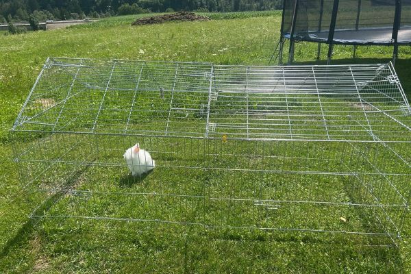 Freilaufgehege für Kaninchen