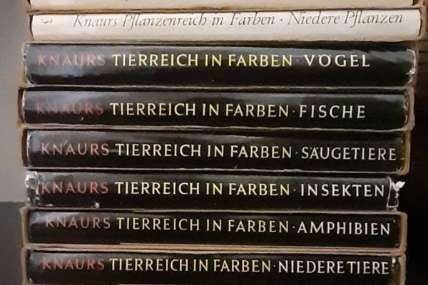 Komplettset: Knaurs Pflanzenreich & Tierreich in Farben – 10 Bände