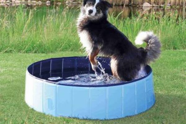 Hundepool zum Erfrischen 120x30cm