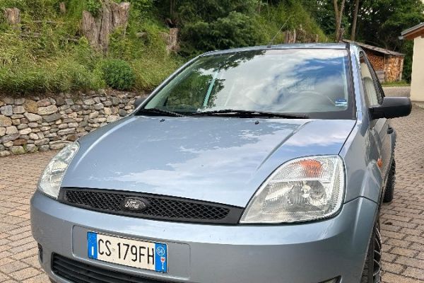 Ford Fiesta 1.2 Benziner 2004