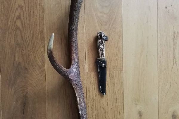 Abwurf Geweih mit Jagdmesser