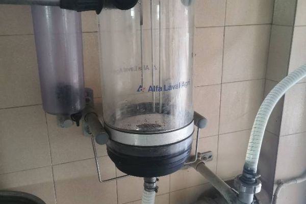 Rohrmelkanlage mit Kühlaggregat und Milchtank zu verkaufen