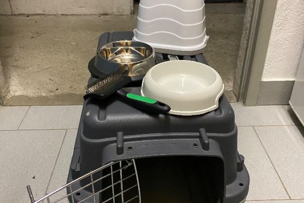 Zubehör für katze