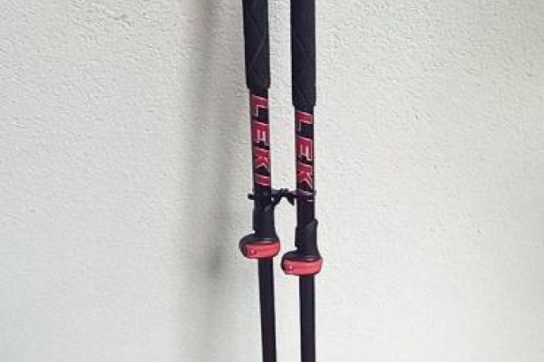 Wanderstöcke LEKI Tour Carbon 3