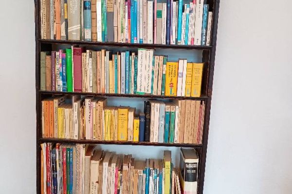 Antikes Bücherregal