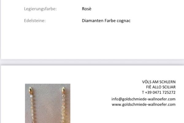 Diamantohrringe mit zertifikat wunderschön kunstvoll gefertigt
