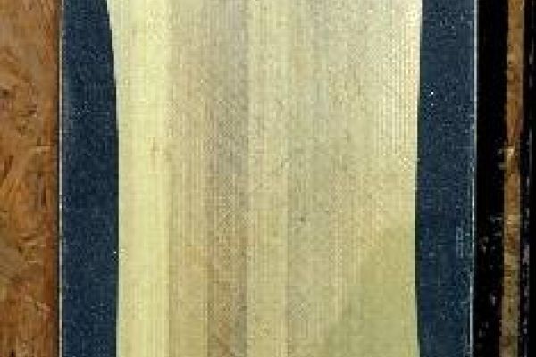 Longboard Switch Vigile 110 SURF