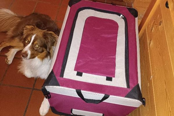 Hundebox zu verkaufen