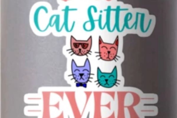 Cat-Sitter in Feldthurns gesucht