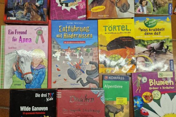 verschiedene Kinder- und Jugendbücher