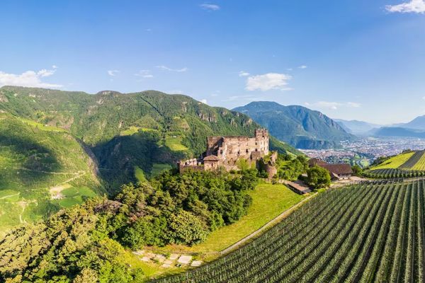 Servicekraft / Kellner*in (m/w/d) – Schloss Rafenstein