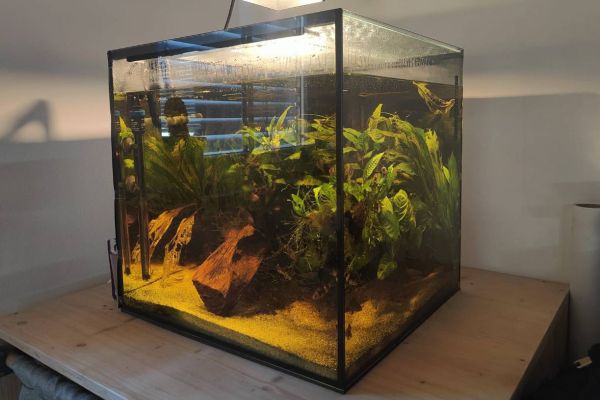 Aquarium (Cube) 125l