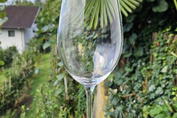 Wein gläser