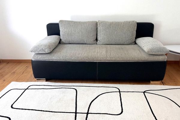 Couch/Sofa