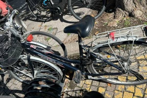 Damenfahrrad
