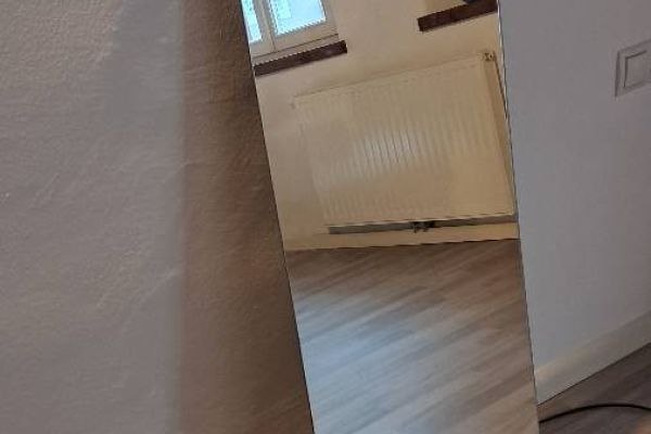 Spiegel 110x40cm