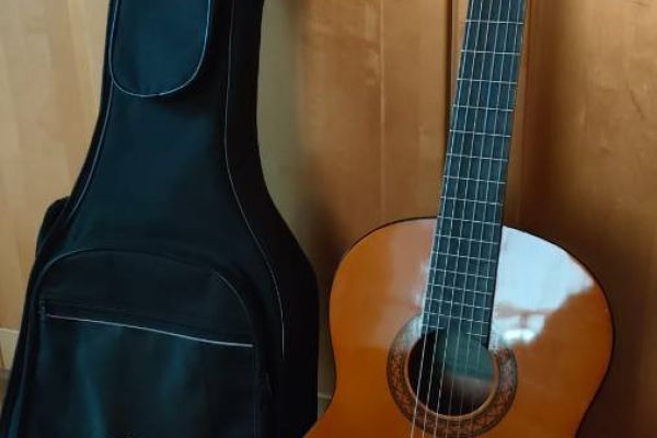 neue Gitarre inkl. Tasche+Ständer