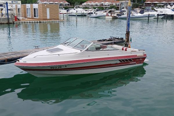 Motorboot Sea Ray 190 CC