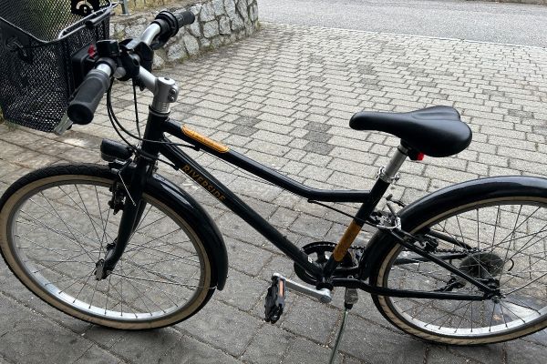 Mädchenfahrrad 20Zoll