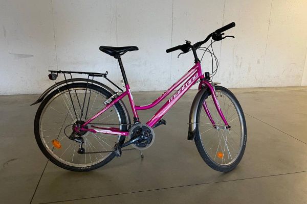 Kinder- Jugendfahrrad (26 Zoll)