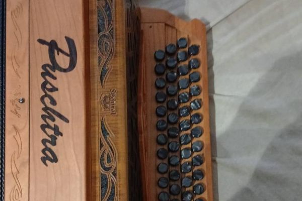 Sterische Harmonika G-C-F-B 4 reihig