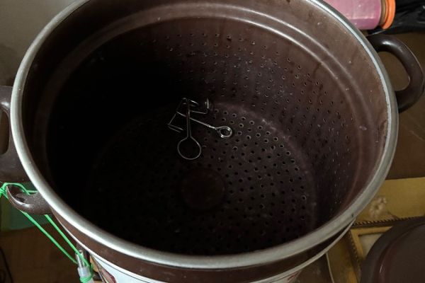 Entsafter für zu Hause