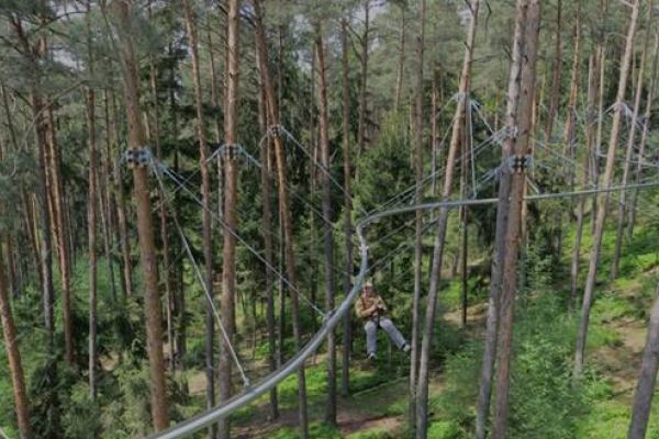 Suchen Sekretär:in in Teilzeit