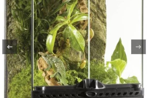 Verschiedene Terrariums