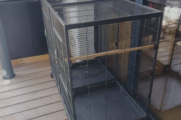 Vogel Käfig Wellensittich