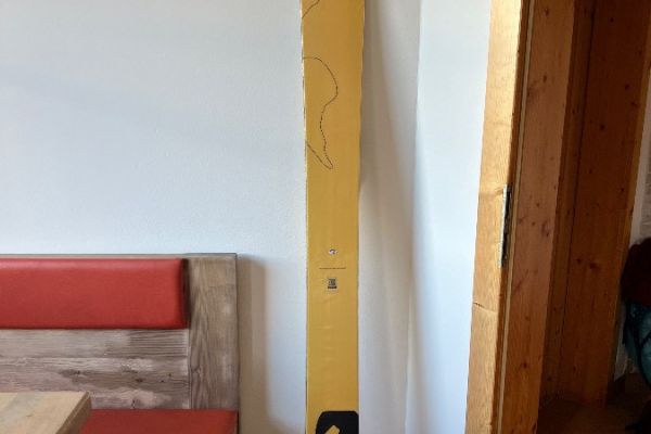 Völkl Revolt 121 - Freerideski