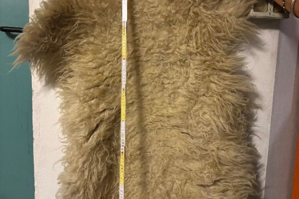 Schafsfelle gegerbt in gutem Zustand