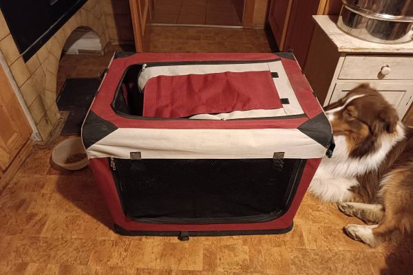 Hundebox zu verkaufen