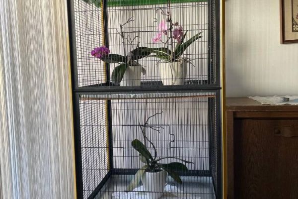 Große Vogelvoliere / Vogelkäfig auf Rollen – ca. 2 m hoch, mit Zubehör