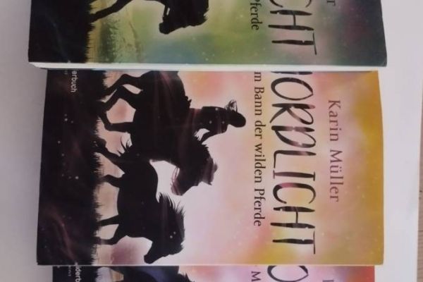Nordlicht‑Trilogie von Karin Müller – alle 3 Bände (Pferdeabenteuer)
