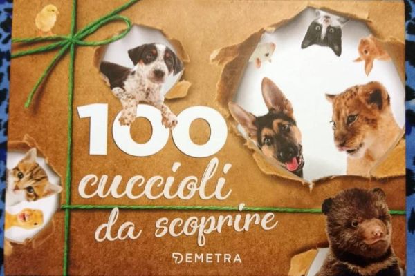 Italienisch lernen Tiere Baby Karten "Cuccioli" in italiano