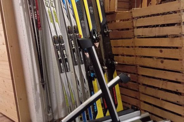 Skiträger für Golf Plus