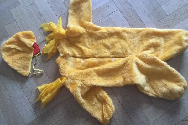 Kükenkostüm 2-teilig, praktisch und warm