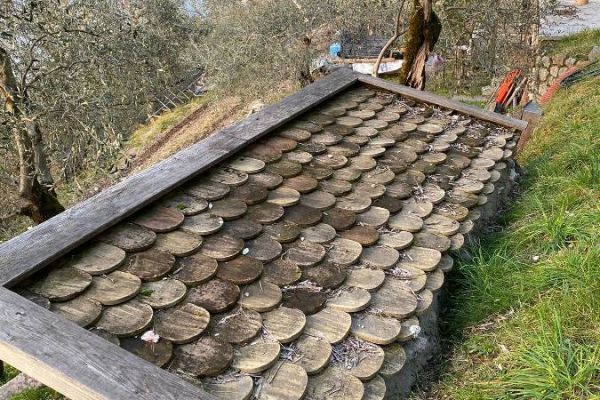 Originale alte Bieberschwanz Dachziegel 7.000 St.